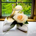 Business 1 image PETS CORNER Pet Shops in Brighton Ea