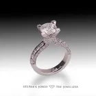 Business 1 image PHOTOS FOREVER Photographic Services in Liverpool Me