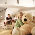 Business 15 image PICKFORDS REMOVALS Overseas Removals in Nottingham No