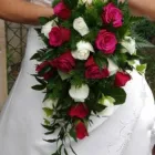 Business 3 image PICTURED 2 PERFECTION Wedding Services in Long Eaton No