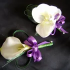 Business 14 image PILKINGTON SOLICITORS Solicitors in Liverpool Me