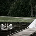 Business 1 image PIXIELAND MANNAMEAD Day Nurseries in Plymouth De