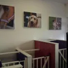 Business 3 image PLAN-IT OFFICE SOLUTIONS LTD Office Equipment Suppliers in Northampton No