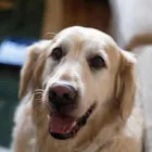 Business 1 image PLAN-IT OFFICE SOLUTIONS LTD Office Equipment Suppliers in Northampton No