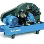 Business 4 image PLANTED Florists in Brighton Ea