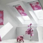 Business 12 image PORTERHOUSE Steakhouse Restaurants in Belfast Co