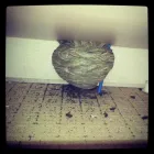 Business 1 image PORTSLADE P.O Post Offices in Brighton Ea