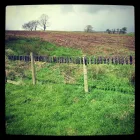 Business 3 image PORTSLADE P.O Post Offices in Brighton Ea