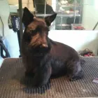 Business 6 image PRESTON NEWS Off Licences & Wine Merchants in Brighton Ea