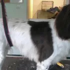 Business 7 image PRESTON NEWS Off Licences & Wine Merchants in Brighton Ea