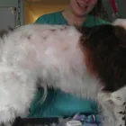 Business 8 image PRESTON NEWS Off Licences & Wine Merchants in Brighton Ea