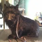 Business 2 image PRESTON NEWS Off Licences & Wine Merchants in Brighton Ea