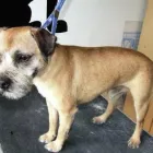 Business 4 image PRESTON NEWS Off Licences & Wine Merchants in Brighton Ea