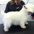 Business 5 image PRESTON NEWS Off Licences & Wine Merchants in Brighton Ea