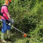 Business 24 image PRESTWOOD GARDEN MAINTENANCE Tree Services in Iver Bu