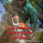 Business 31 image PRESTWOOD GARDEN MAINTENANCE Tree Services in Iver Bu