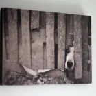 Business 4 image PRINTBLOX Shopping & Retail in Shoreham-By-Sea We