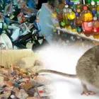 Business 2 image PRISTINE PROPERTY CLEARANCE UK HOUSE CLEARANCE SPECIALIST Rubbish Removal Services in Newcastle Upon Tyne Ty