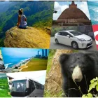 Business 2 image PRIVATE SRI LANKA TOURS! Tours & Sightseeing in London Gr