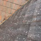 Business 1 image PRO CLEAN Gutter & Downspout Installation & Repair in Nuneaton Wa