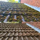 Business 21 image PRO CLEAN Gutter & Downspout Installation & Repair in Nuneaton Wa