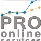 Business 3 image PRO ONLINE SERVICES Web Hosting & Domain Name Registration in London Gr