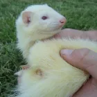 Business 5 image PROCESSIT LTD Label Printers in Leeds We