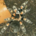 Business 6 image PROCESSIT LTD Label Printers in Leeds We