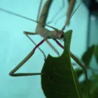 Business 1 image PROCESSIT LTD Label Printers in Leeds We