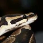 Business 3 image PROCESSIT LTD Label Printers in Leeds We