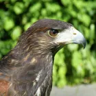 Business 4 image PROCESSIT LTD Label Printers in Leeds We