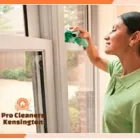 Business 3 image PROFESSIONAL CLEANERS KENSINGTON Window Cleaners in London Gr