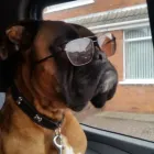 Business 6 image PROFIX JOINERY Woodworking in Belfast Co