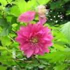 Business 1 image PRP WINDOW Windows in Worthing We