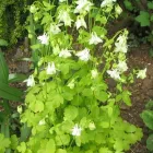 Business 11 image PRP WINDOW Windows in Worthing We