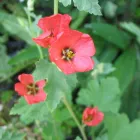 Business 12 image PRP WINDOW Windows in Worthing We