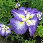 Business 13 image PRP WINDOW Windows in Worthing We