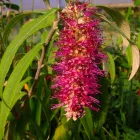 Business 14 image PRP WINDOW Windows in Worthing We