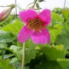 Business 16 image PRP WINDOW Windows in Worthing We