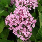 Business 17 image PRP WINDOW Windows in Worthing We