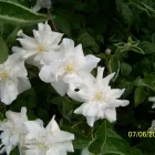 Business 20 image PRP WINDOW Windows in Worthing We