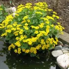 Business 21 image PRP WINDOW Windows in Worthing We