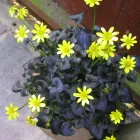 Business 23 image PRP WINDOW Windows in Worthing We