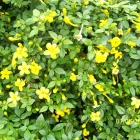 Business 24 image PRP WINDOW Windows in Worthing We