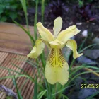 Business 2 image PRP WINDOW Windows in Worthing We