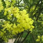 Business 25 image PRP WINDOW Windows in Worthing We