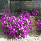 Business 26 image PRP WINDOW Windows in Worthing We