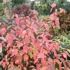 Business 3 image PRP WINDOW Windows in Worthing We