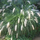 Business 4 image PRP WINDOW Windows in Worthing We