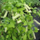 Business 5 image PRP WINDOW Windows in Worthing We